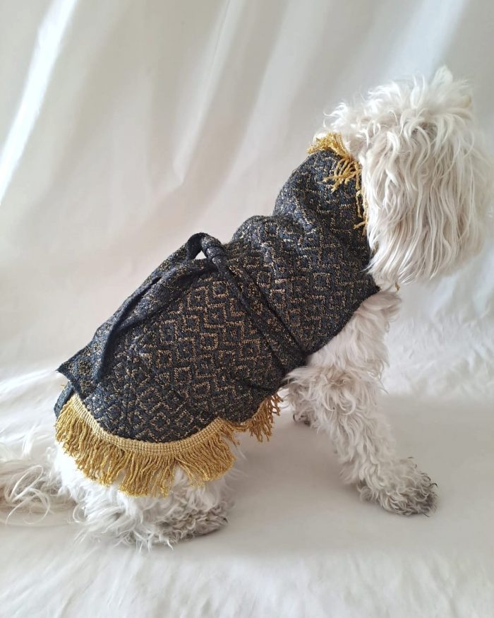 Baisesmamain Pet Couture - Cecilia Benetti Design - Doggy Coat- cappotto elegante lana glitter per cani nero e oro con frange indossato fianco