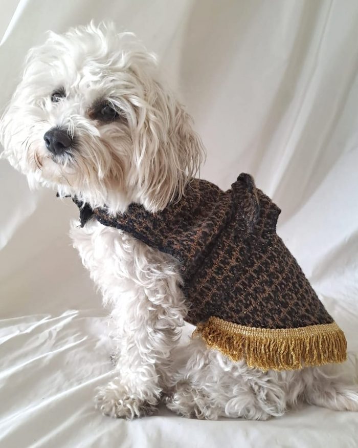 Baisesmamain Pet Couture - Cecilia Benetti Design - Doggy Coat- cappotto elegante lana marrone e oro con frange indossato fianco