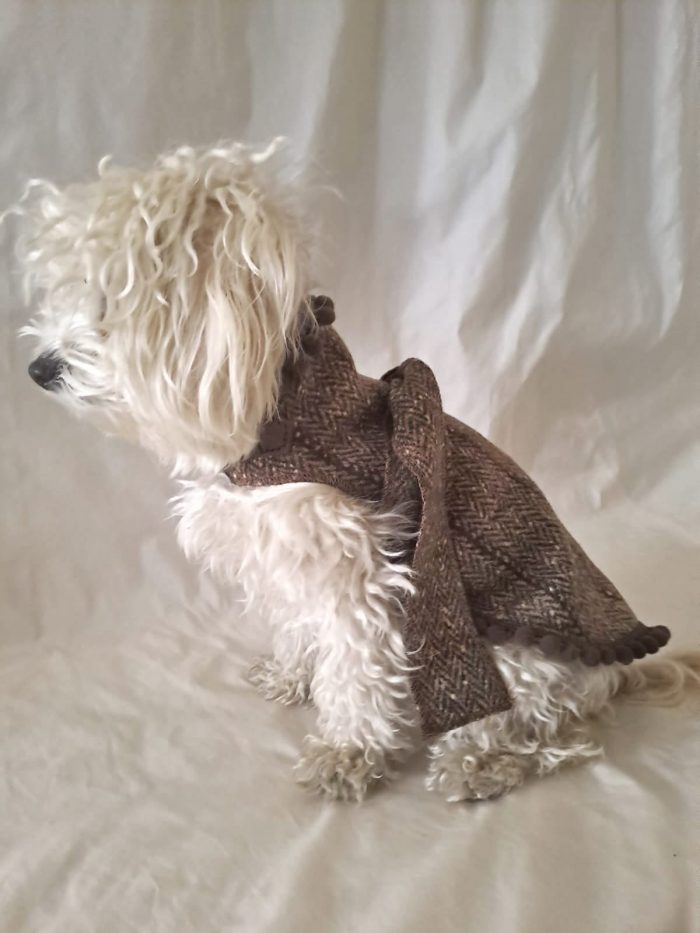 Baisesmamain Pet Couture - Cecilia Benetti Design - Doggy Coat- cappotto lana per cani spinato