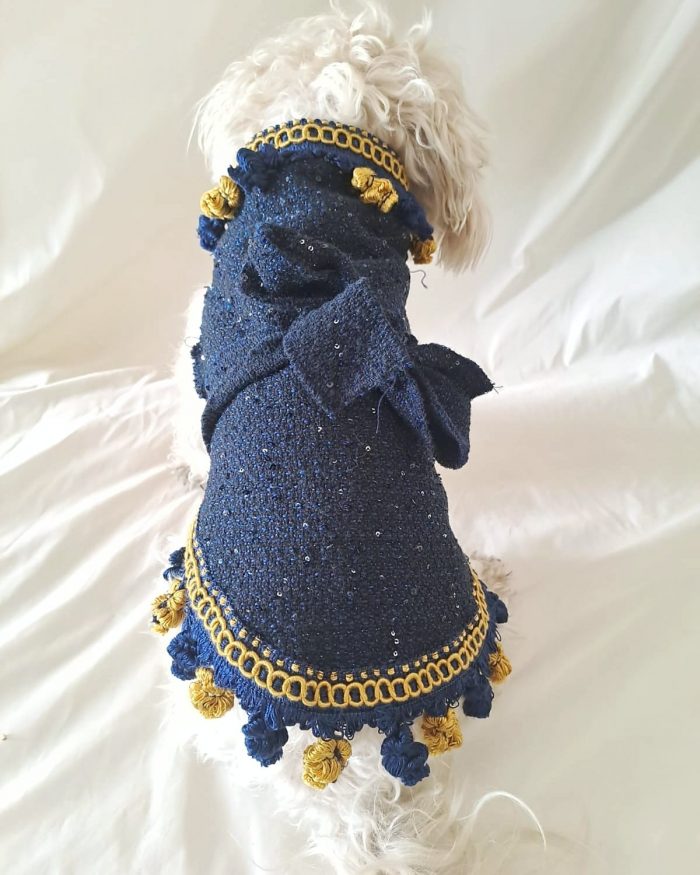 Baisesmamain Pet Couture - Cecilia Benetti Design - Doggy Coat- cappotto elegantelana per cani blu e giallo con micropailettes indossato dietro