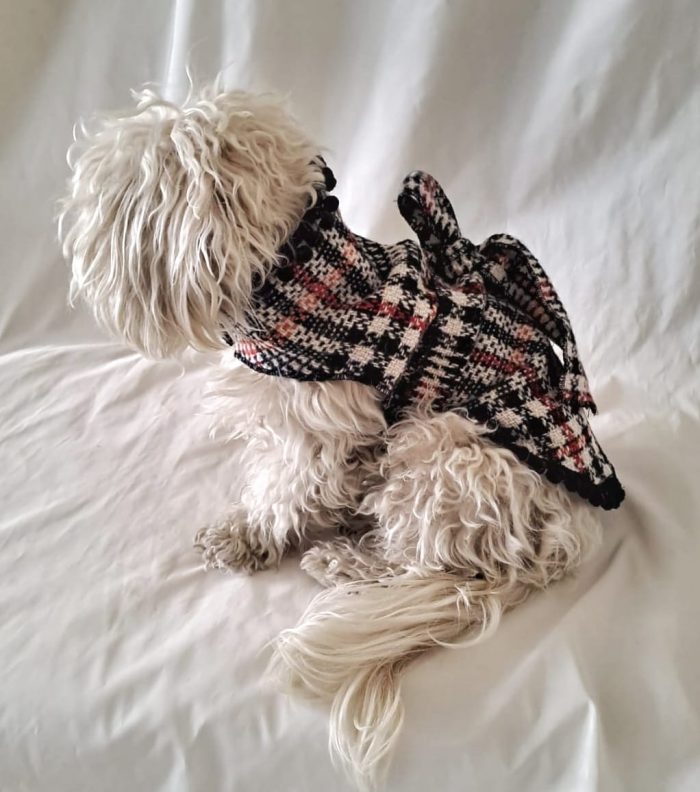 Couture - Cecilia Benetti Design - Doggy Coat- cappotto tartan per cani