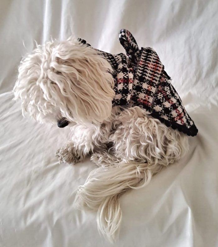 Baisesmamain Pet Couture - Cecilia Benetti Design - Doggy Coat- cappotto per cani