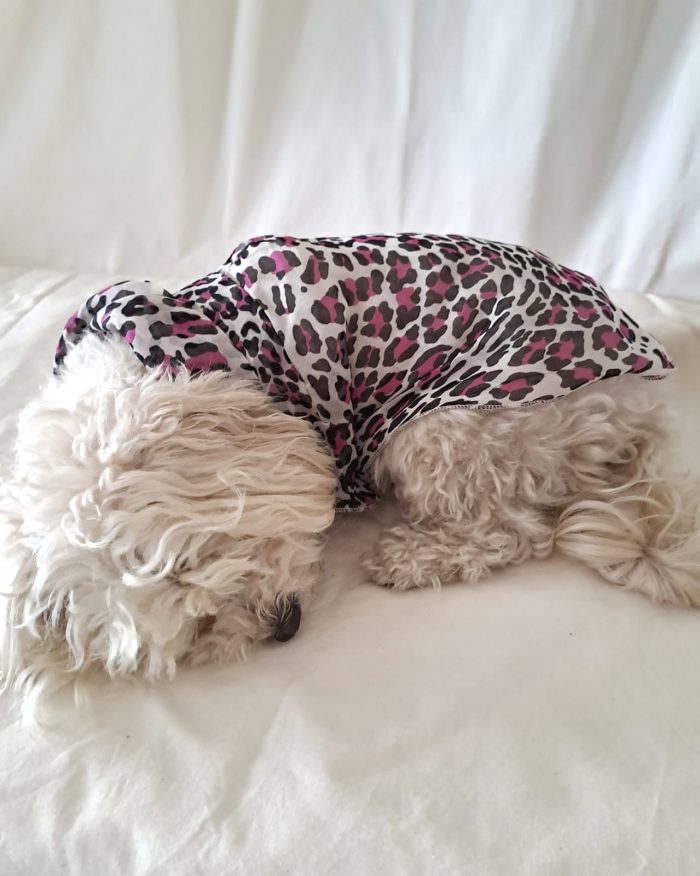 Baisesmamain Pet Couture - Cecilia Benetti Design - Doggy Chemise- camicia sartoriale per cani in seta maculato viola indossato schiena