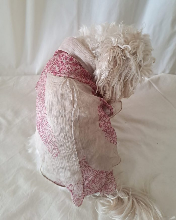 Baisesmamain Pet Couture - Cecilia Benetti Design - Doggy Chemise- camicia sartoriale per cani in seta piume rosa indossato dietro