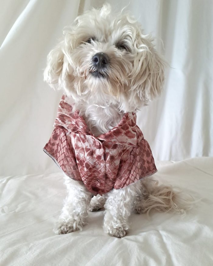 Baisesmamain Pet Couture - Cecilia Benetti Design - Doggy Chemise- camicia sartoriale per cani in seta rettile mattone indossato davanti