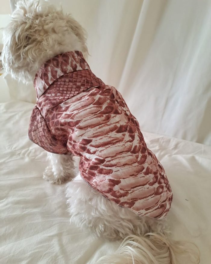 Baisesmamain Pet Couture - Cecilia Benetti Design - Doggy Chemise- camicia sartoriale per cani in seta rettile mattone indossato dietro