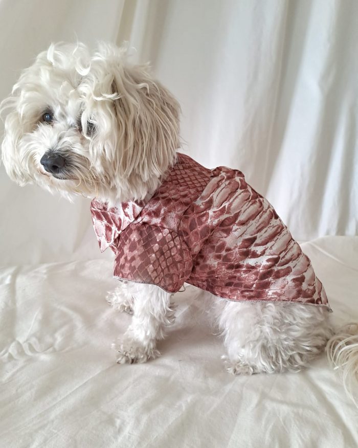 Baisesmamain Pet Couture - Cecilia Benetti Design - Doggy Chemise- camicia sartoriale per cani in seta rettile mattone indossato fianco