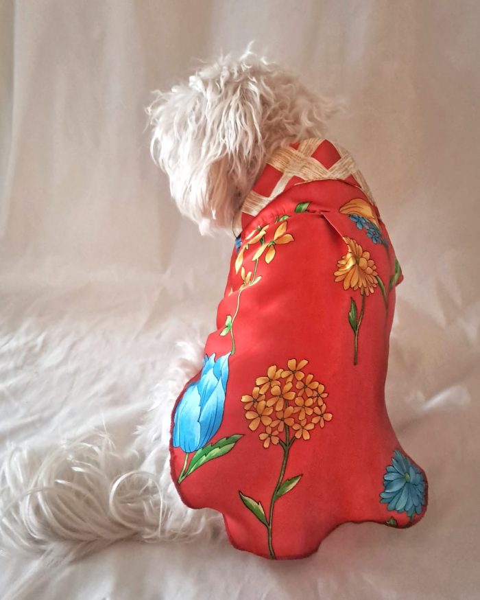 Baisesmamain Pet Couture - Cecilia Benetti Design - Doggy Chemise- camicia sartoriale per cani rossa fantasia indossata dietro