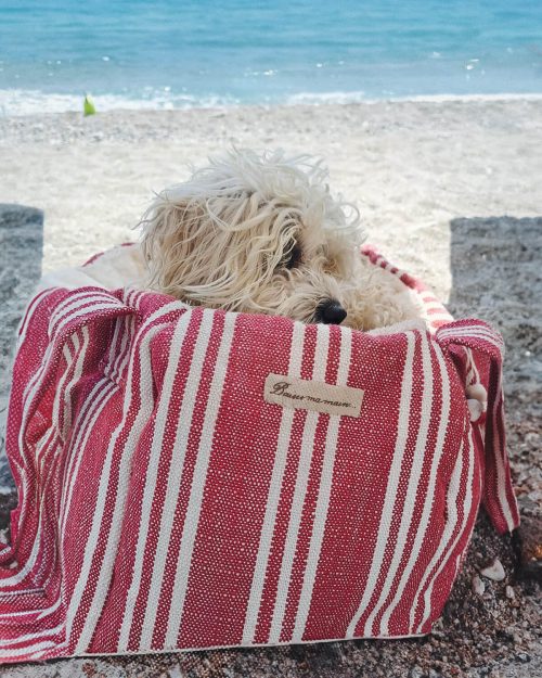 Baisesmamain Pet Couture - Cecilia Benetti Design - Doggy Bag