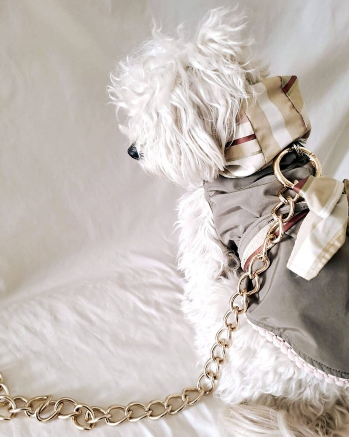 Baisesmamain Pet Couture - Cecilia Benetti Design - Doggy DouDou - guinzaglio
