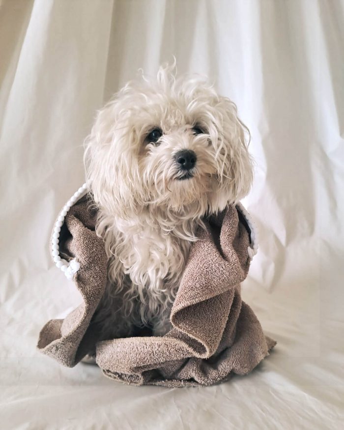 Baisesmamain Pet Couture - Cecilia Benetti Design - Doggy Bath - accappatoio per cani cucito a mano