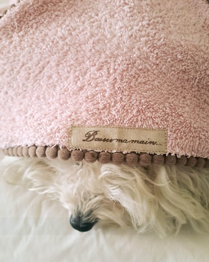 Baisesmamain Pet Couture - Cecilia Benetti Design - Doggy Bath