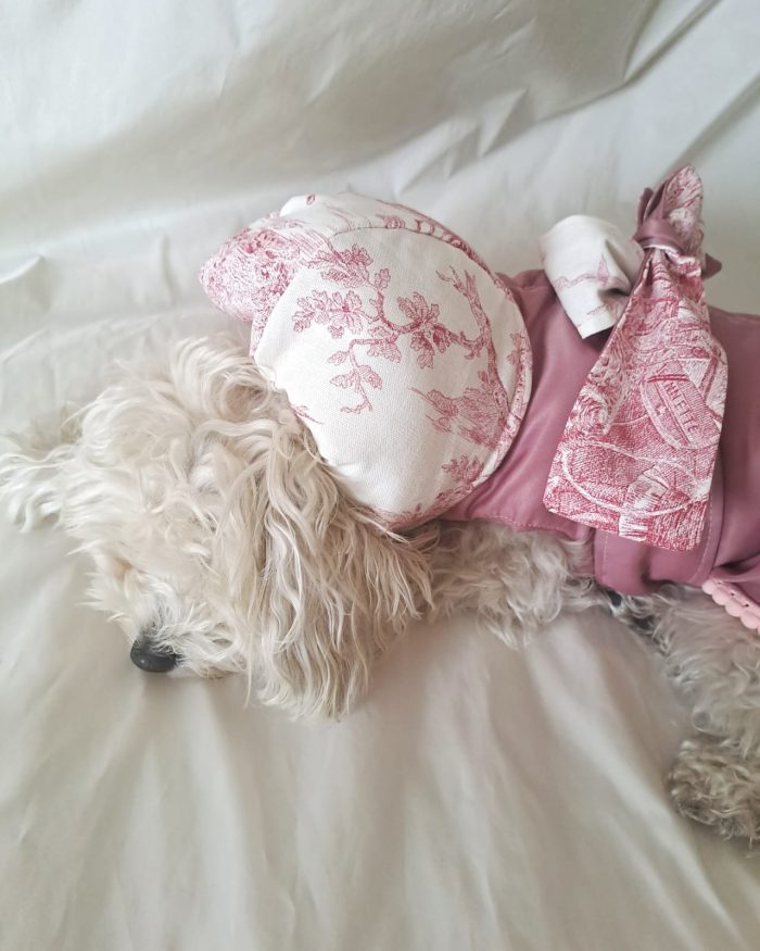 Baisesmamain Pet Couture - Cecilia Benetti Design - Doggy Winter Snow- piumino cani piccola taglia - dettaglio interno cappuccio