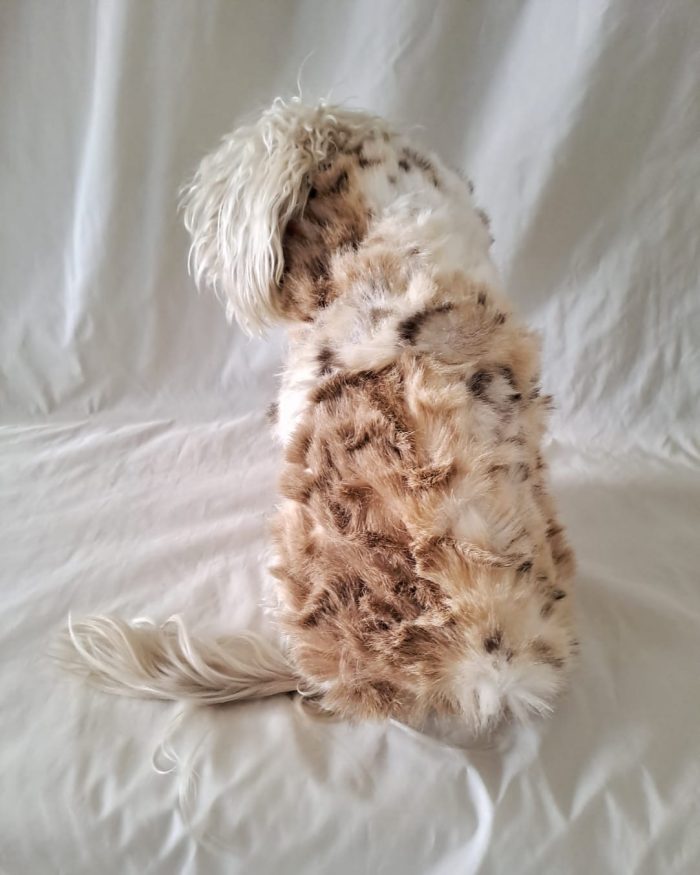 Baisesmamain Pet Couture - Cecilia Benetti Design - Doggy Winter ecofur- pelliccia cani piccola taglia - indossato dietro