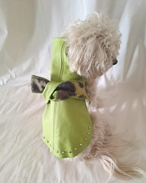 Baisesmamain Pet Couture - Cecilia Benetti Design - Doggy Leather