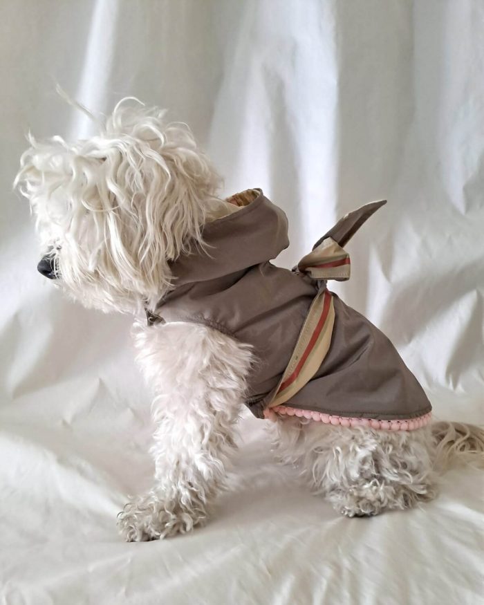 Baisesmamain Pet Couture - Cecilia Benetti Design - Doggy Rain - Impermeabile per cani -raincoat