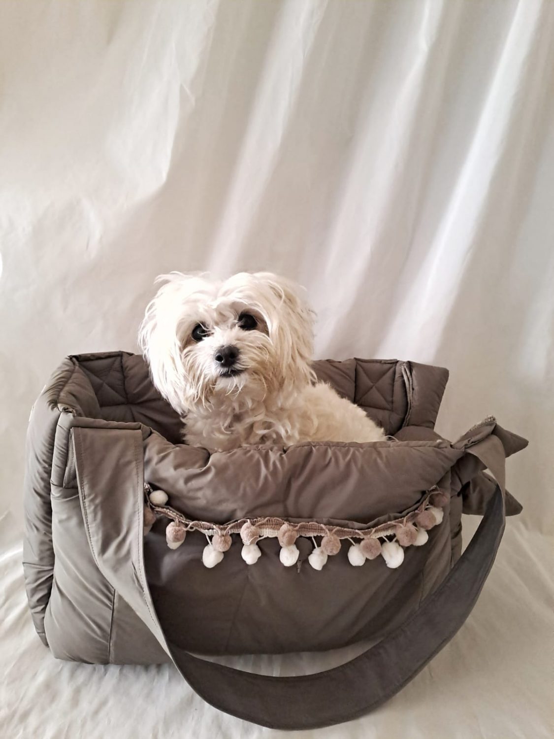 Amici, Io sono pronta…ho deciso ..questa borsa mi piace troppo …me la tengo io! Baisesmamain pet couture-Cecilia-Benetti-Design-Doggy Rainy -Bag- cane seduto all'interno della borsa impermeabile